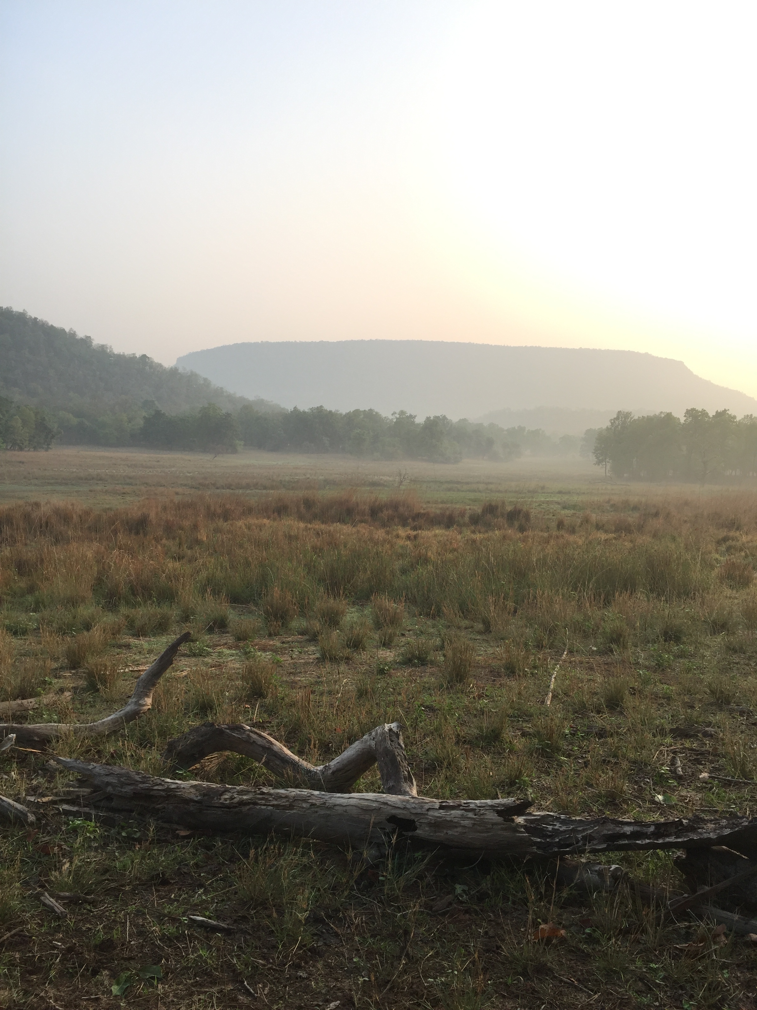 Bandhavgarh National Park at Day Break, Magdi Zone