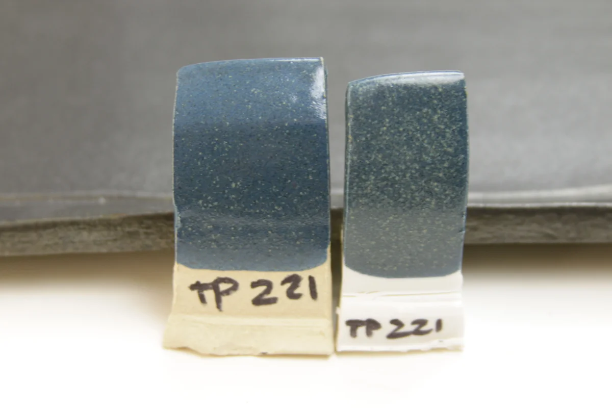 TP221.jpg