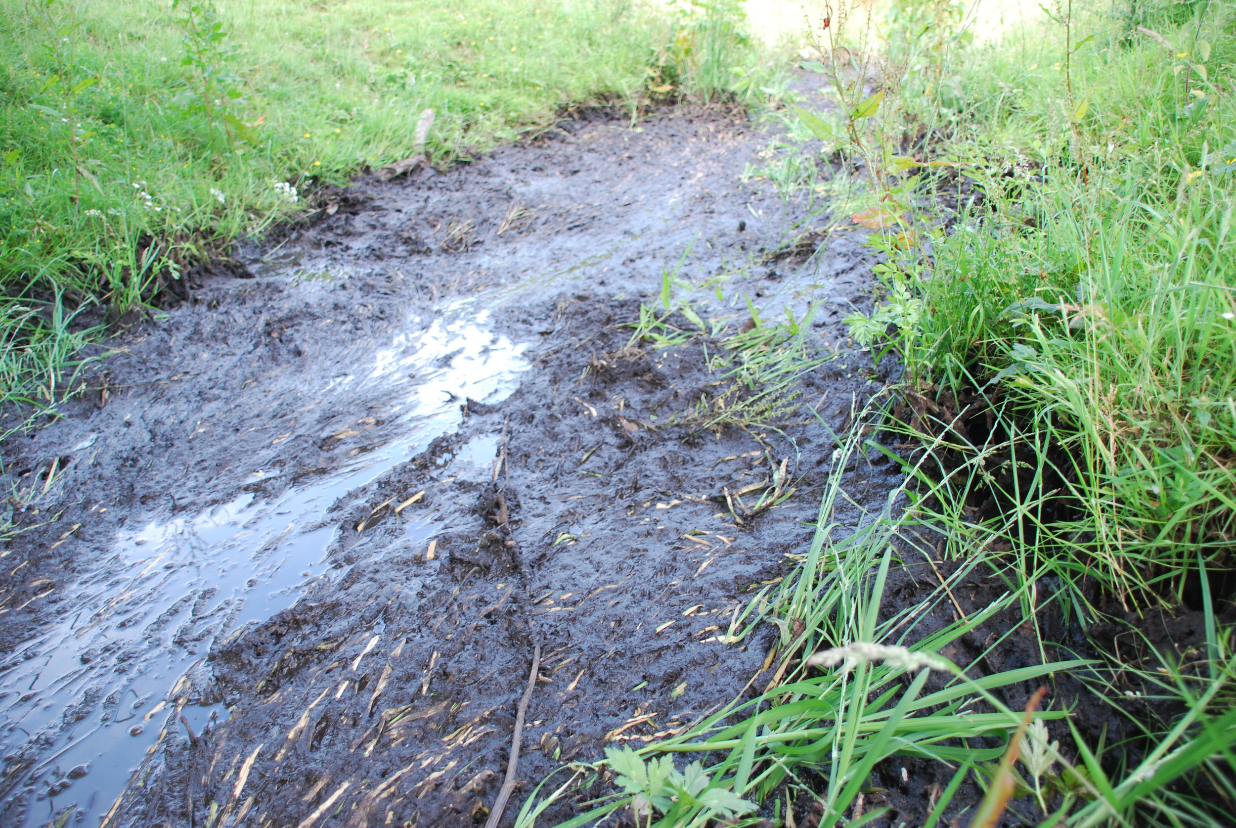 Digestate filling the streams across pastureland