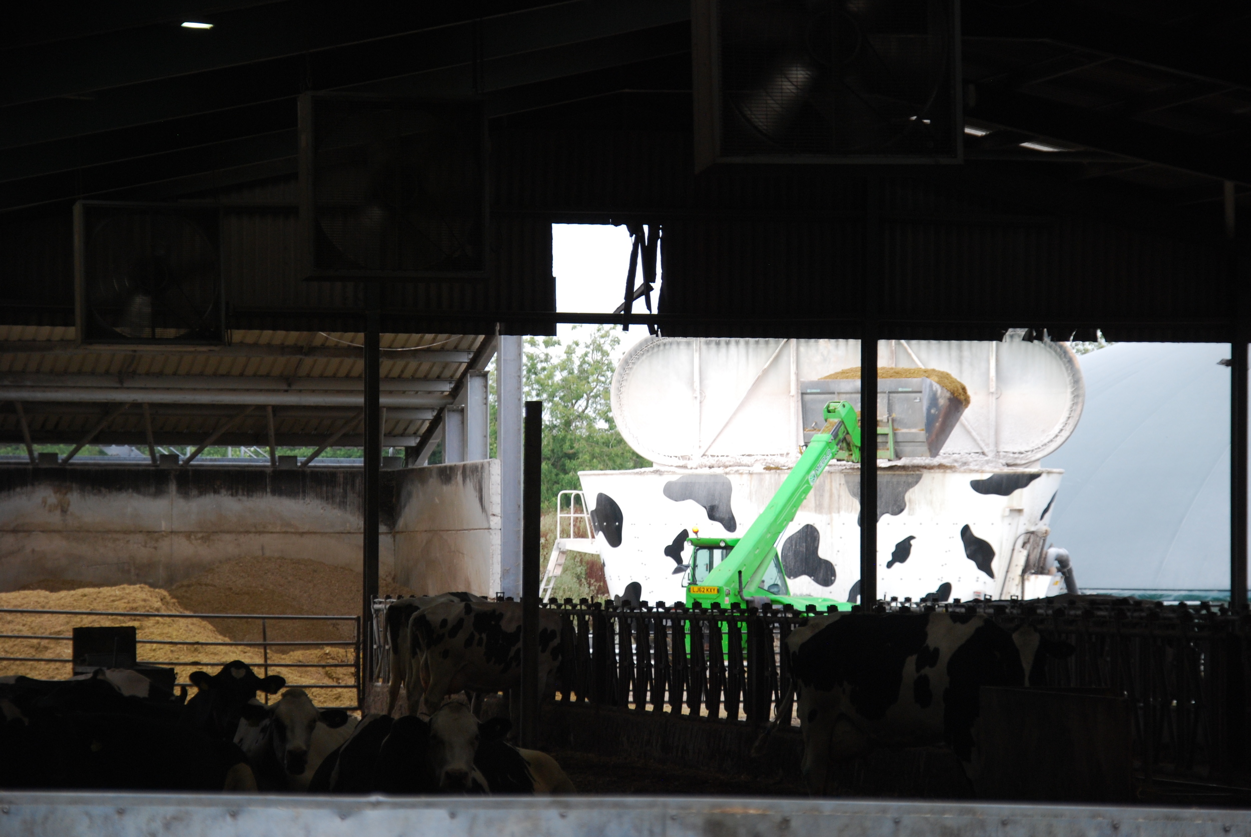 Telehandler loading imported crops into the peecon feeder for the digester