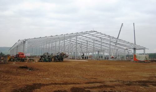 cowshed-frame.jpg