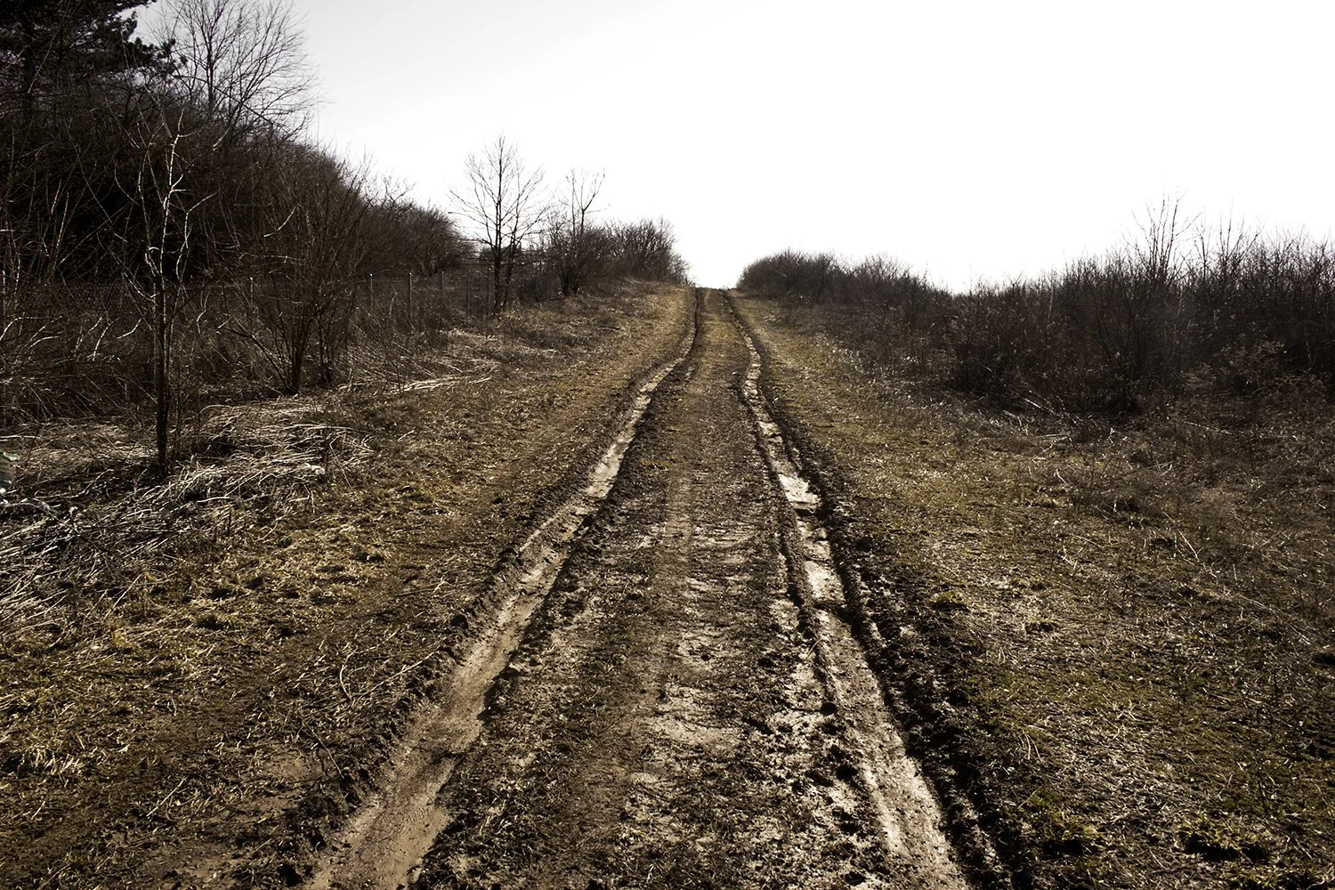 tiretracks.jpg