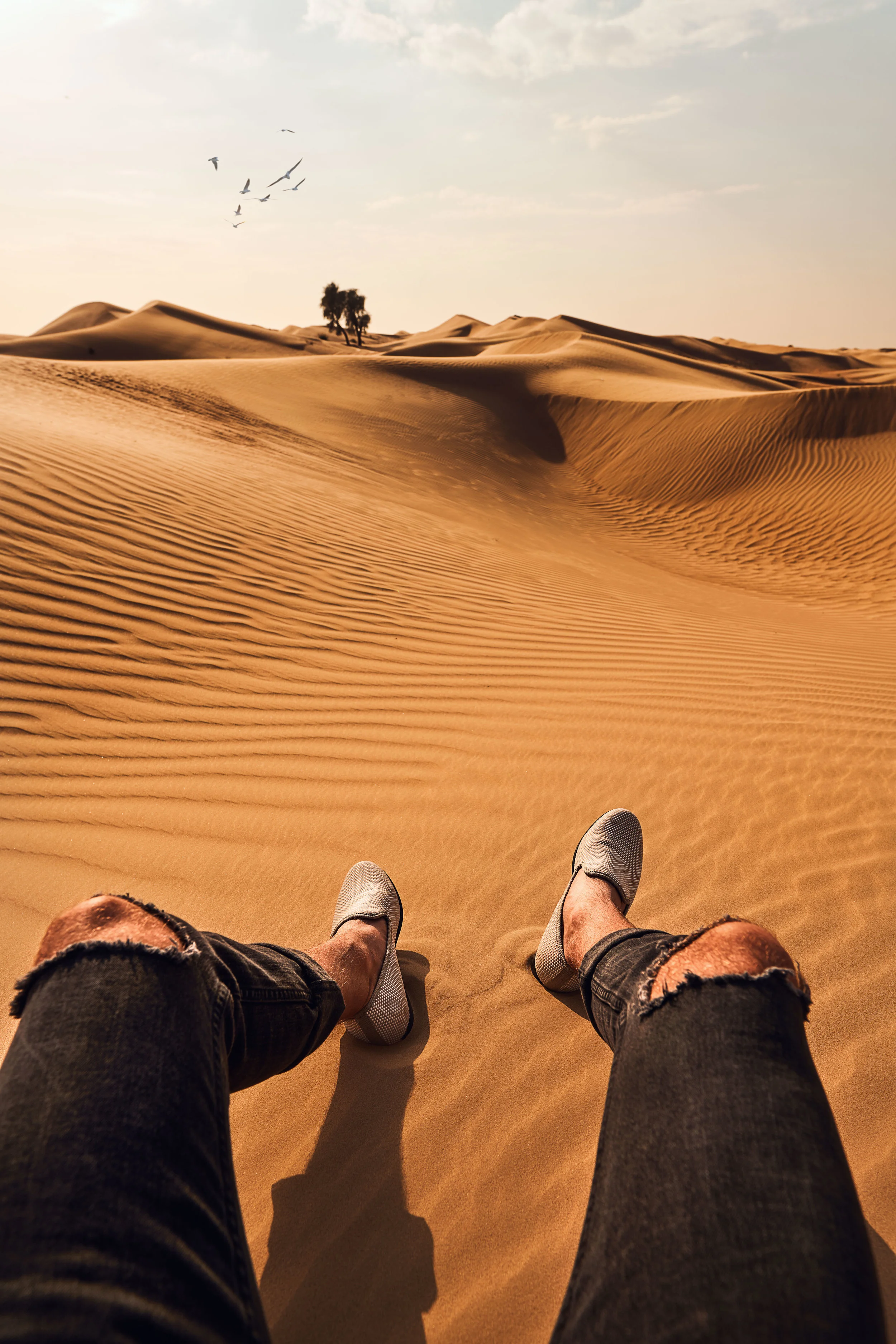 sitwithme-endless-desert.jpg