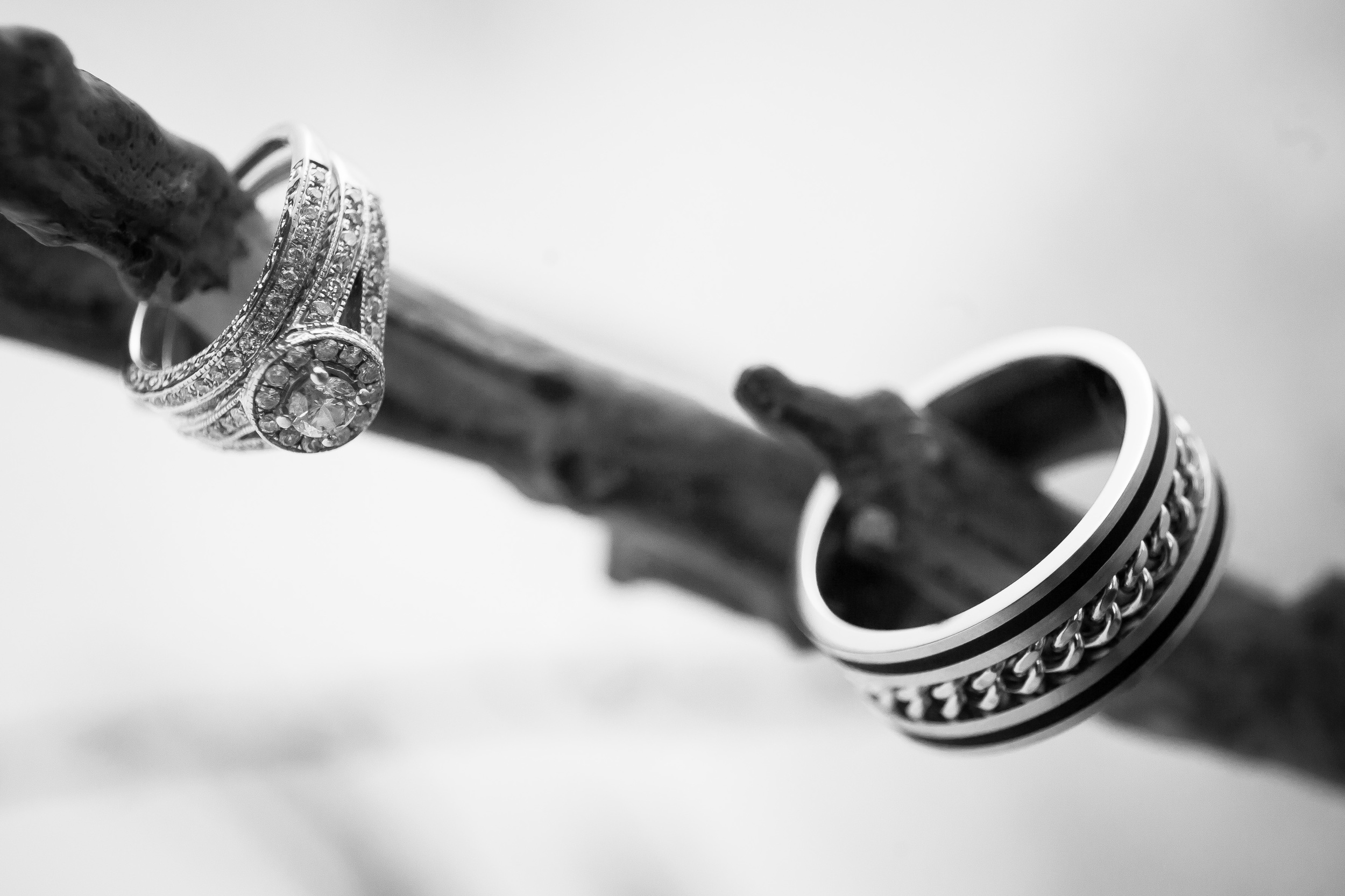 The Kyle House Fincastle Virginia Wedding Photographer Bent-Lee Carr wedding rings and band on a branch
