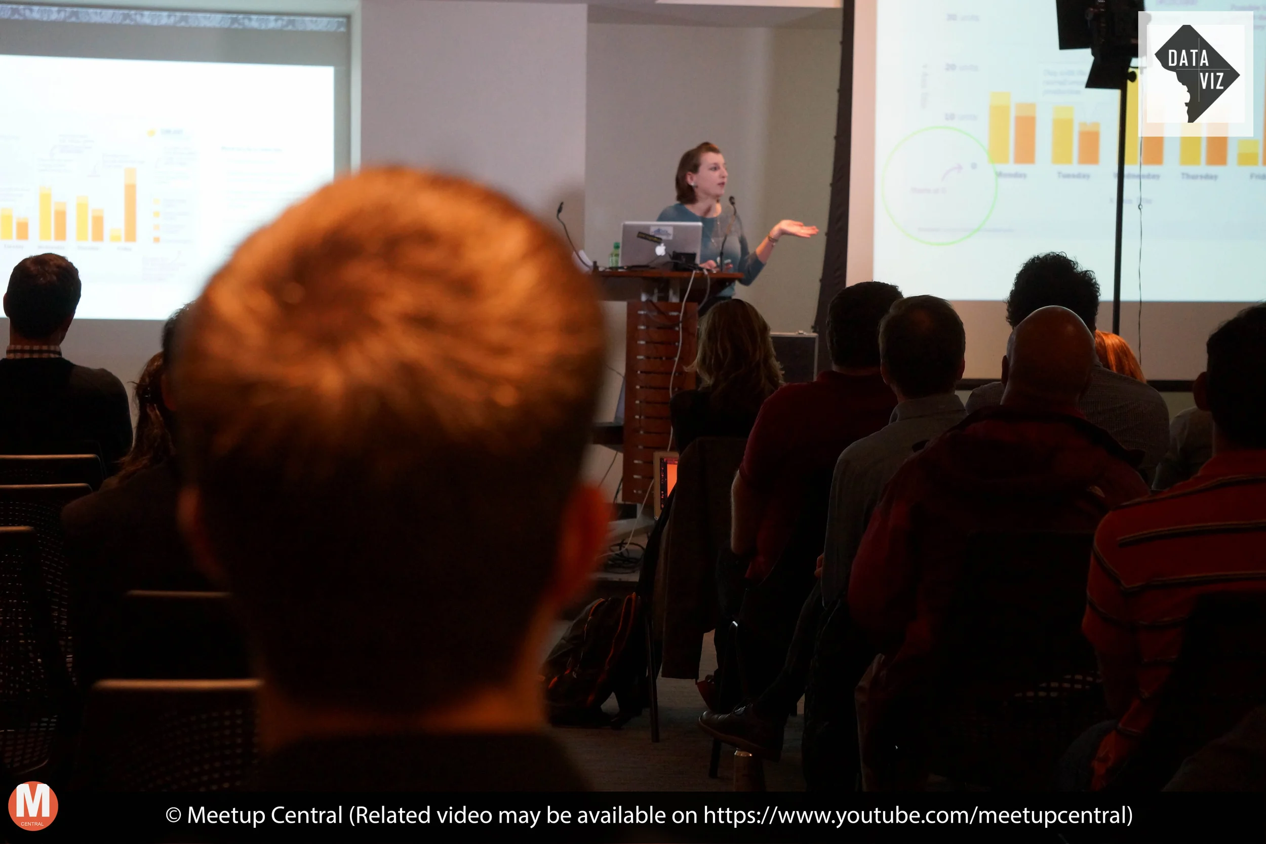 Amy Cesal talking about the Data Visualization Style Guidelines and DataViz DC