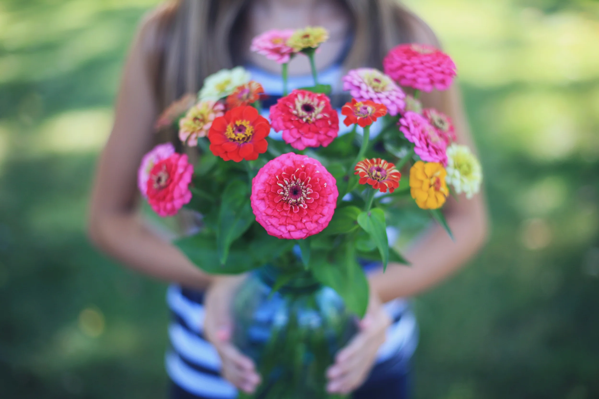 2013 10-10- orchard and tomatoes 069SS.jpg