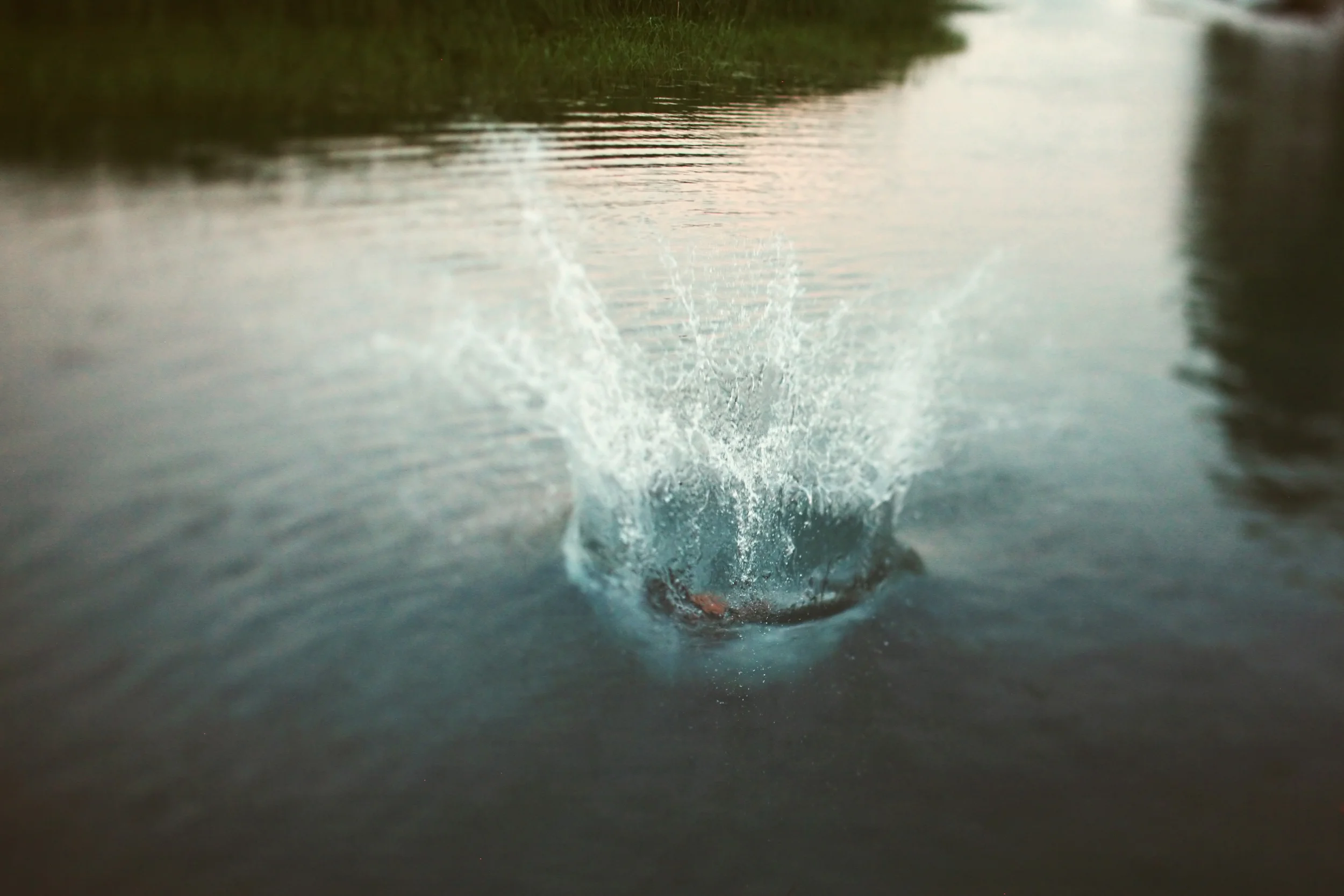 ALICIA BOCK - SPLASH.jpg
