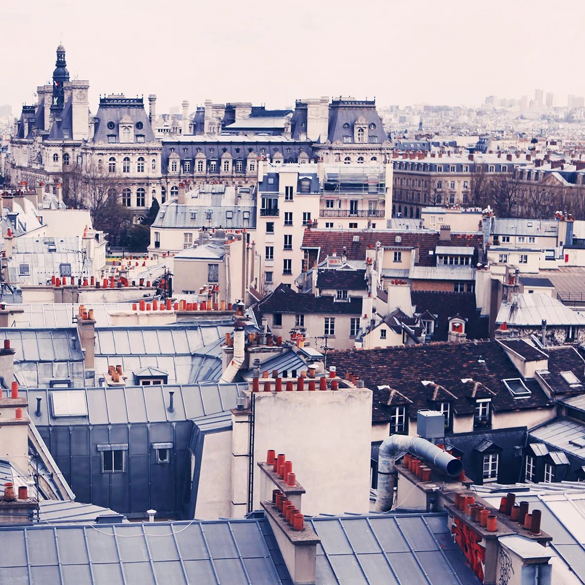 PARIS ROOFTOPS REPRISE - ALICIA BOCK.jpg