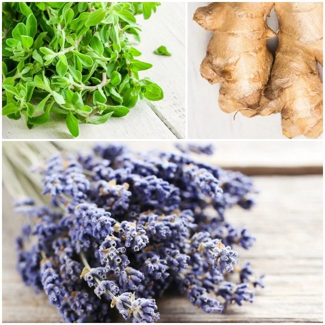 1. Muscle soothe ingredients.jpg
