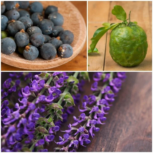 2. Detox ingredients.jpg