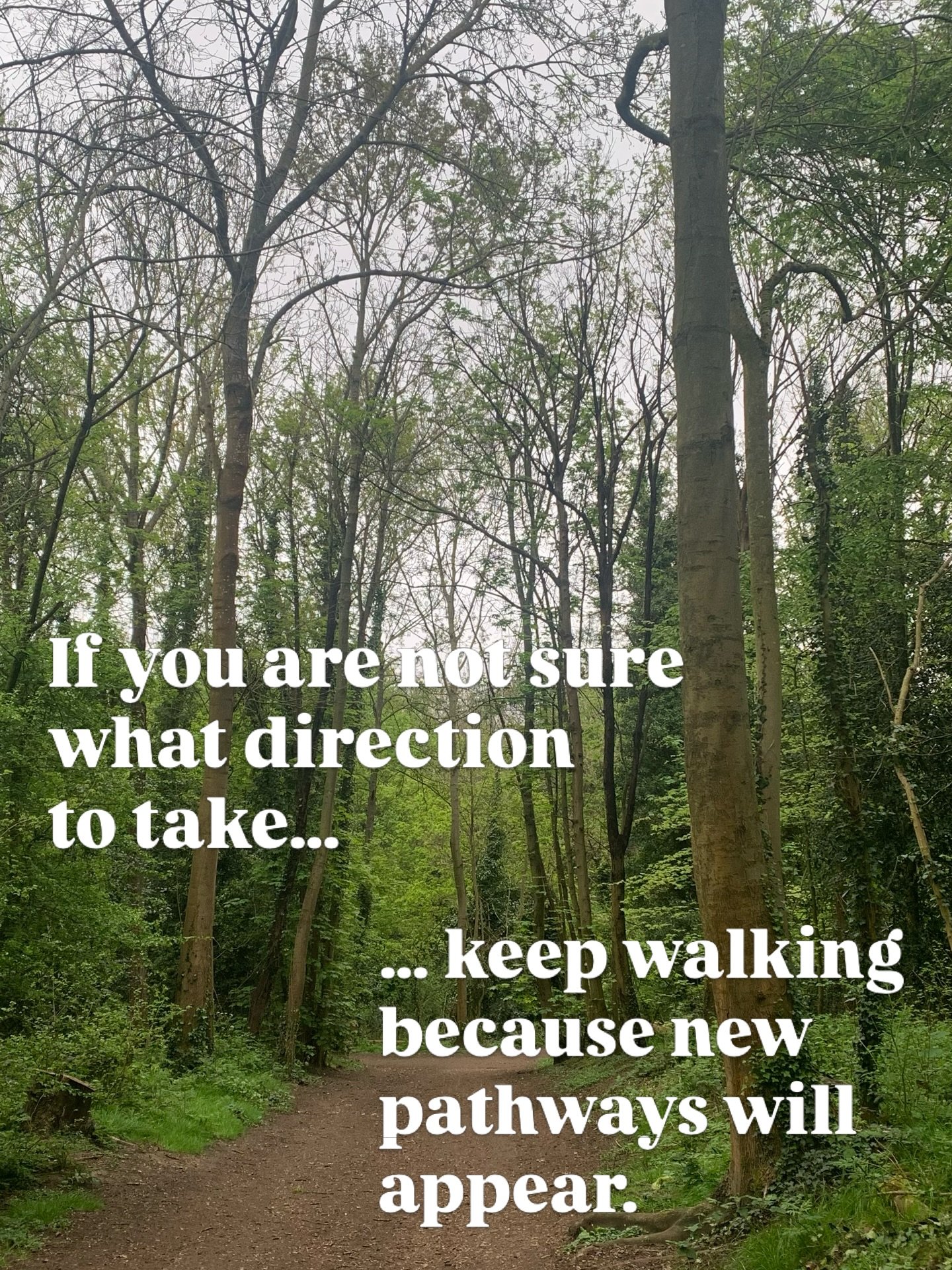 SPRING INSPIRATION 🪻🌳🪻Sally&rsquo;s 💭 

I&rsquo;ve been at this point many times in my life, where even walking one foot in front of the other feels heavy. 

The road can feel long and trudging along it you wonder if things can ever change&hellip