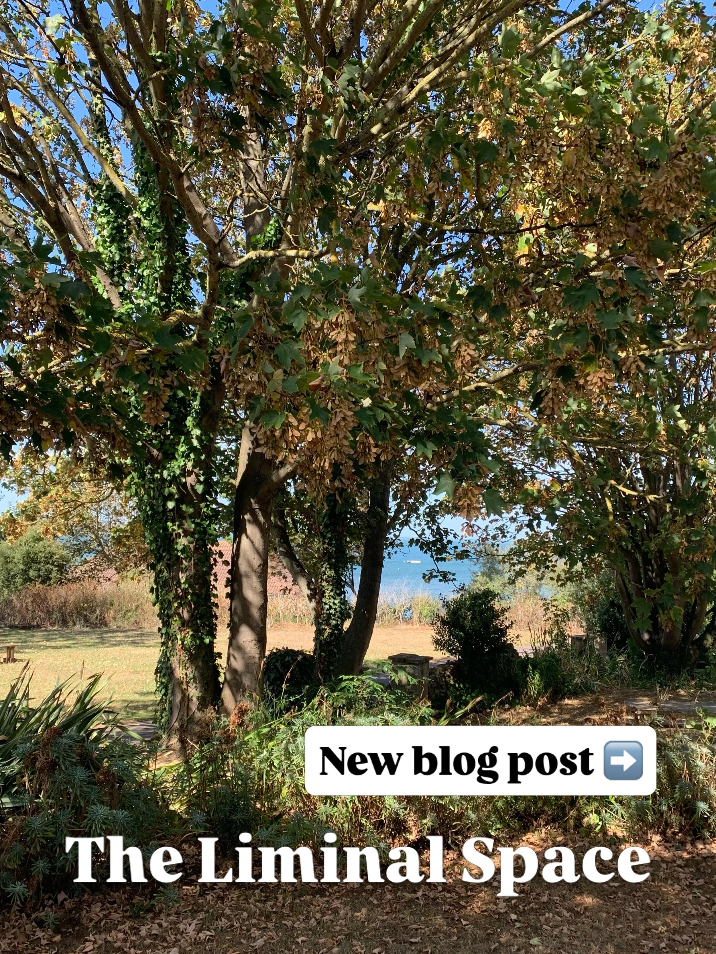 THE LIMINAL SPACE - Sally&rsquo;s Blog 💭 

I&rsquo;ve not written in a while but felt inspired these last two weeks! 

New blog post on the website now!

🔆🧡🔆

📸 Whistable, Kent