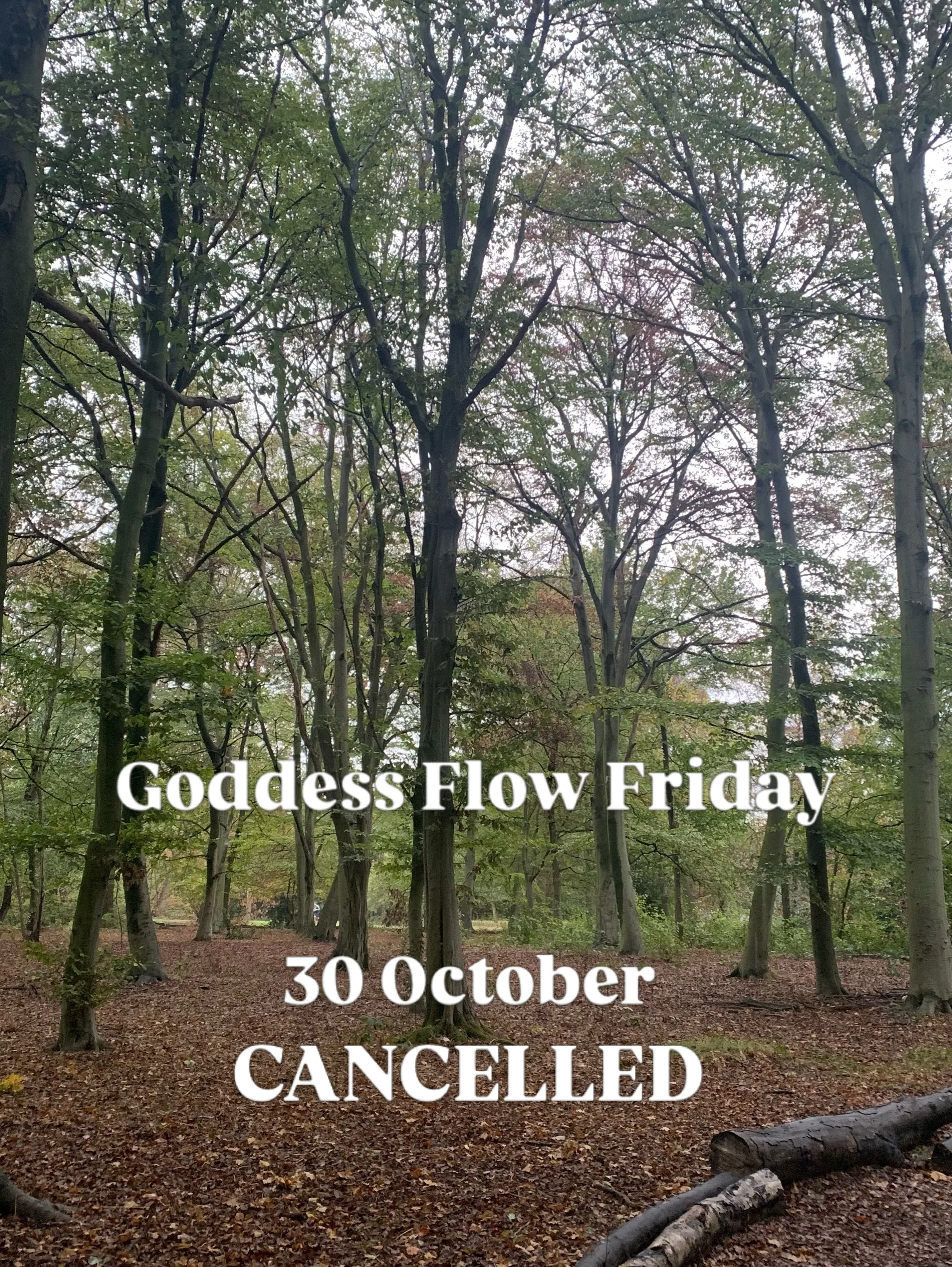 GODDESS FLOW FRIDAY - CANCELLED 🍂

Apologies but the heating in the church hall is not working. 😢

See you on Friday 4 December instead! 🫶

🧡🫶🧡