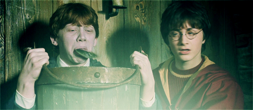 My reaction when people say they think Romeo + Juliet is so romantic.