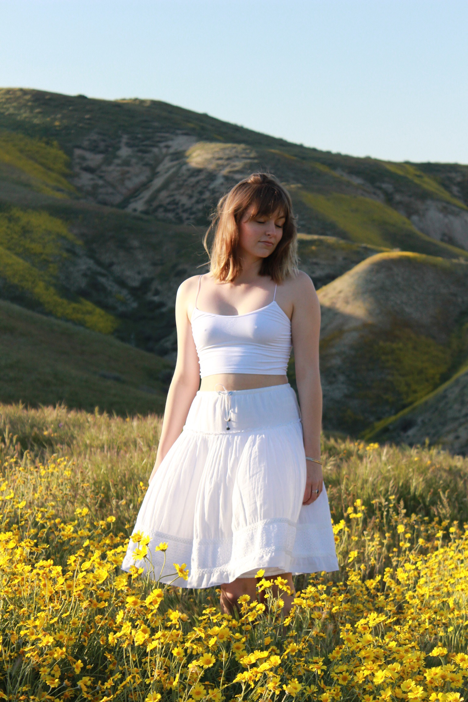 fluf flowers: carrizo plain