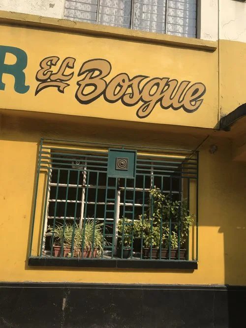 the magic of mexico city