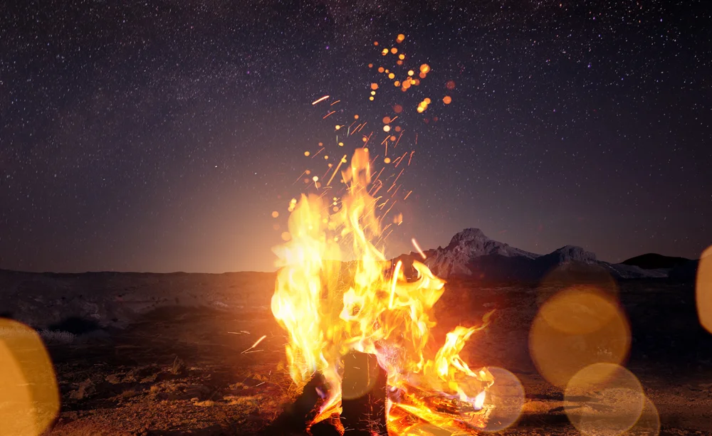 ofcusjan2019-firnightsky.jpg