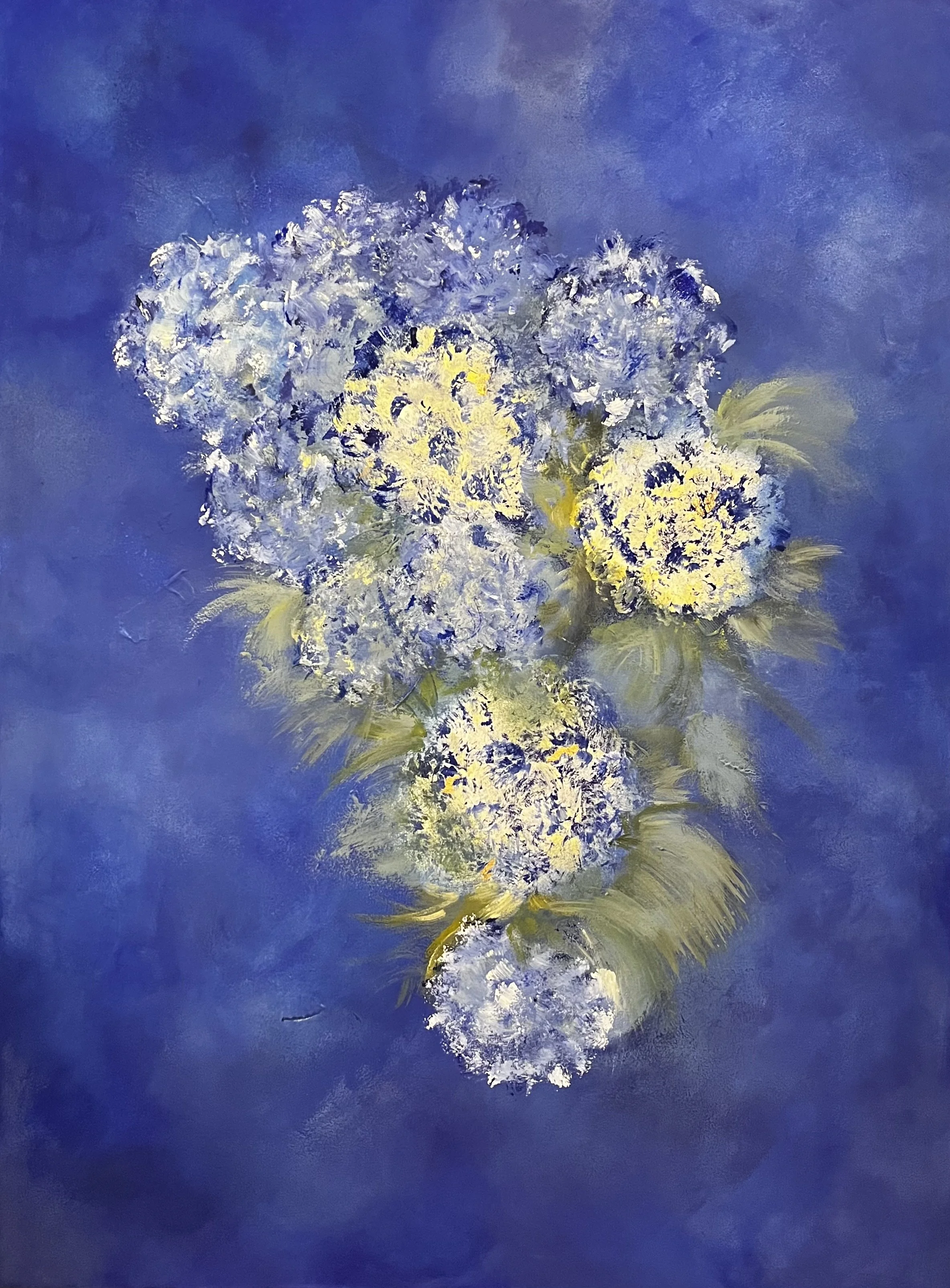 HORTENSIA 2