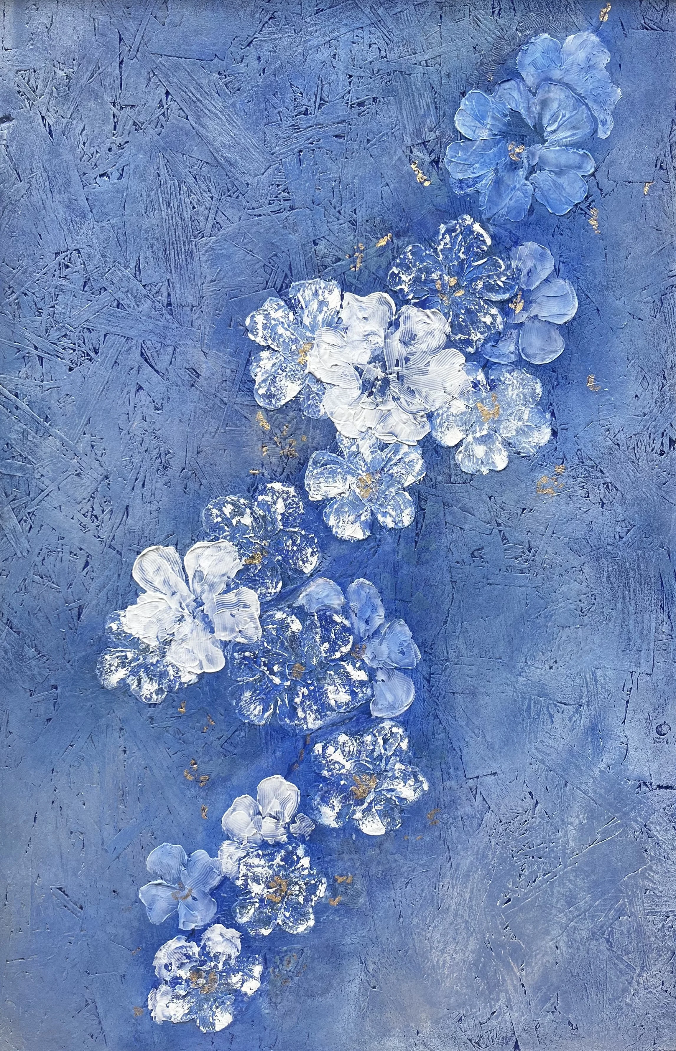 CERISIER BLEU 1