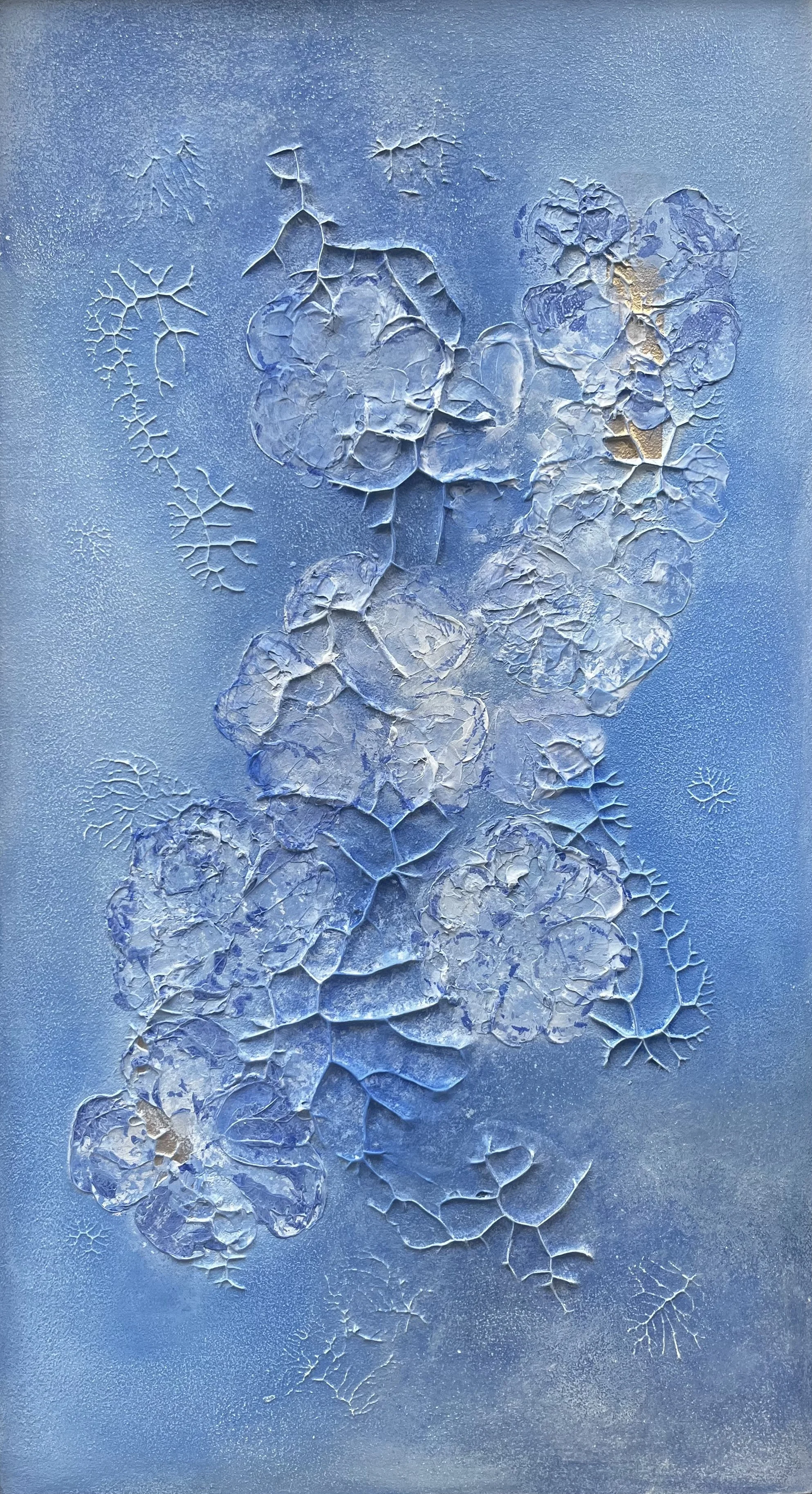 CERISIER BLEU 3