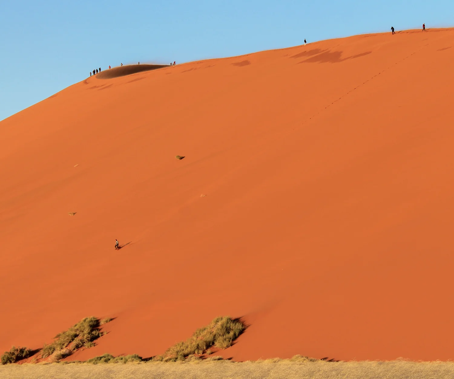 Dune 45 in Sossusvlei.
