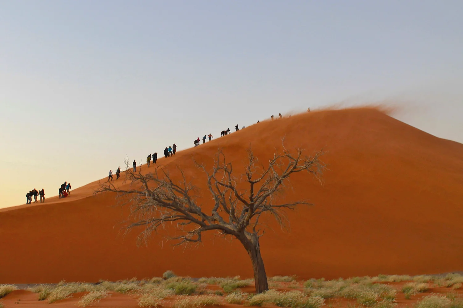 Dune 45 in Sossusvlei.