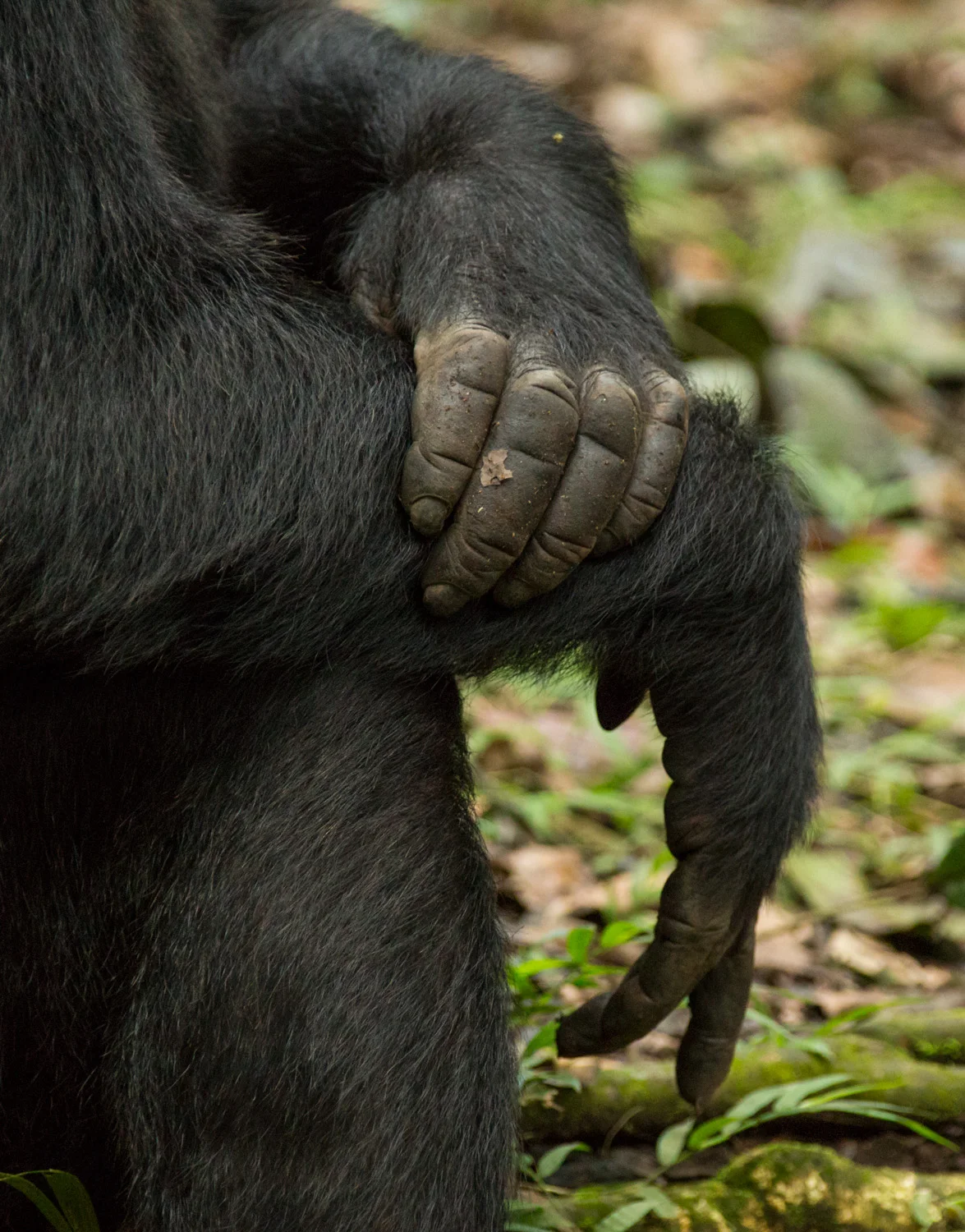 20140818-Uganda-1571.jpg