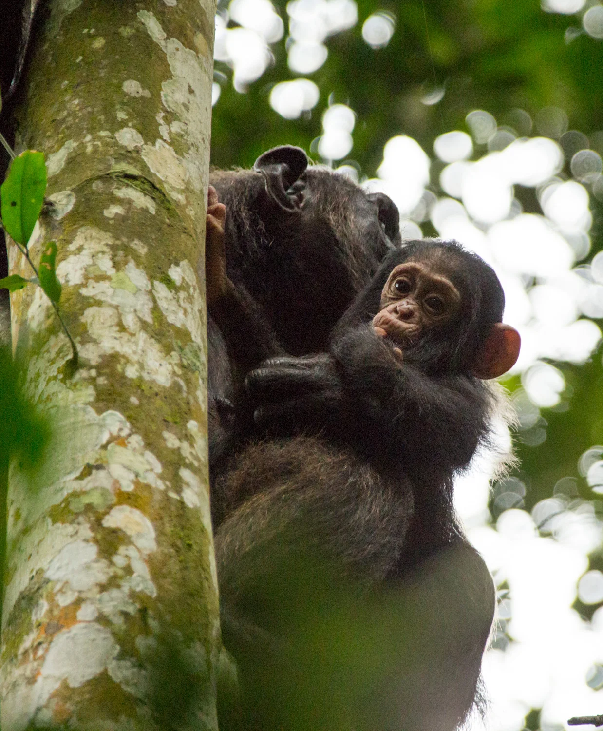 20140818-Uganda-1250.jpg