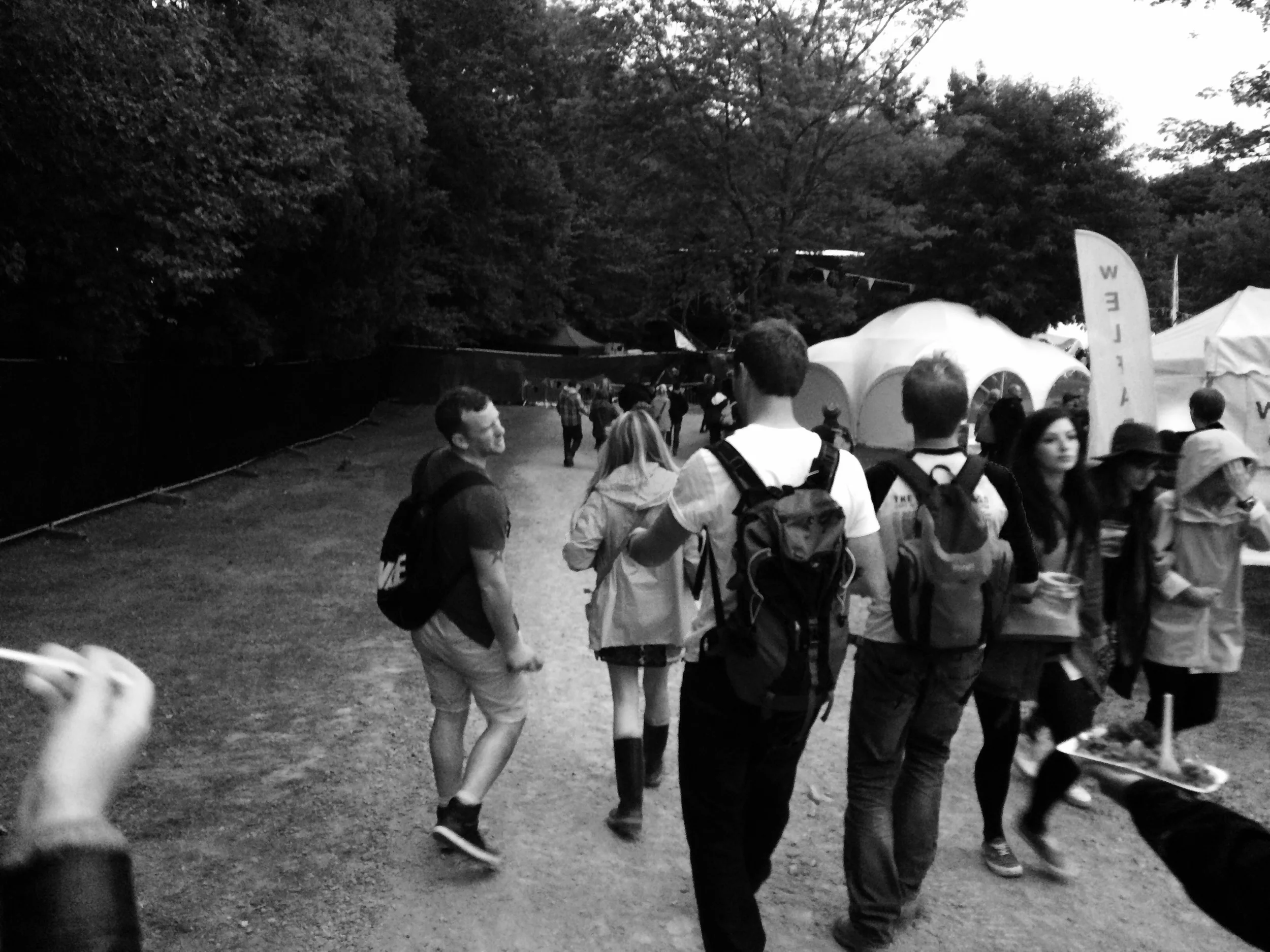 Friends at Festival Number 6