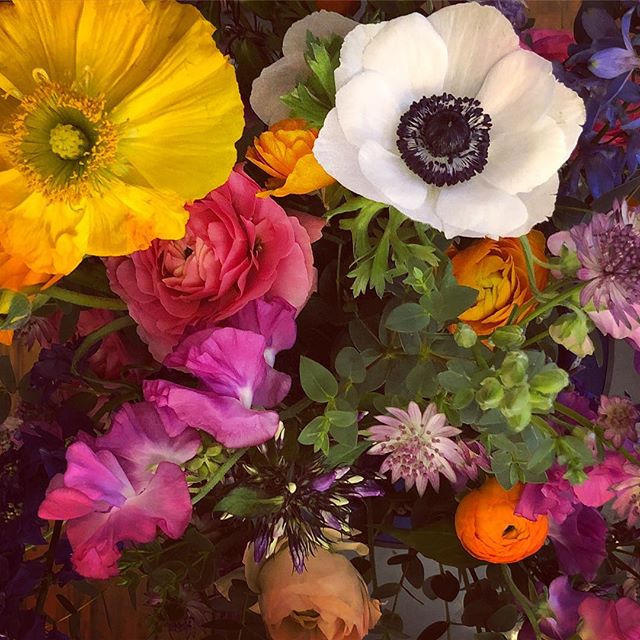 When all you want is spring 🌸🌷🌺 #springisintheair #flowers #prettyblooms #springtime #givemesunshine
