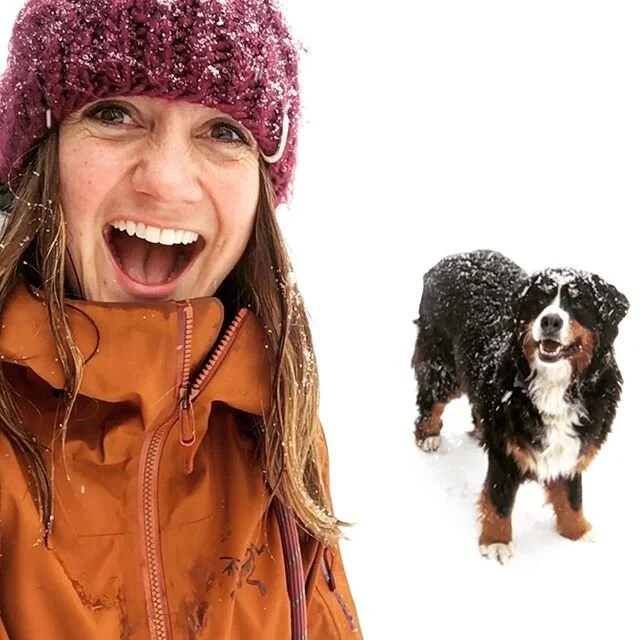Today this 9 year old acted like she was only 9 months old! I get so much joy watching her romp around ❤️ #bernesemountaindog #berner #mountaindogmama #snowdog #idahome #snowday #playdate
