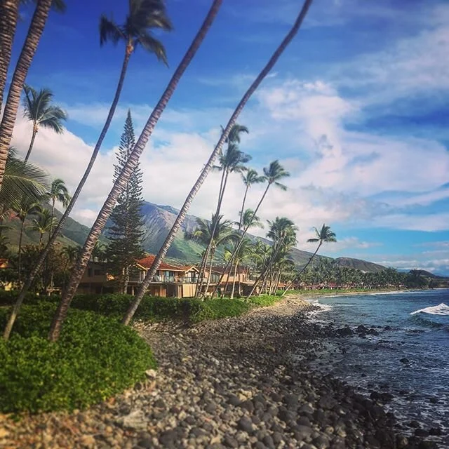 Heading home from a week in paradise! So blessed to live the life I live and to have found so many amazing people to go through it with!

#ohana #maui #paradise #lahina