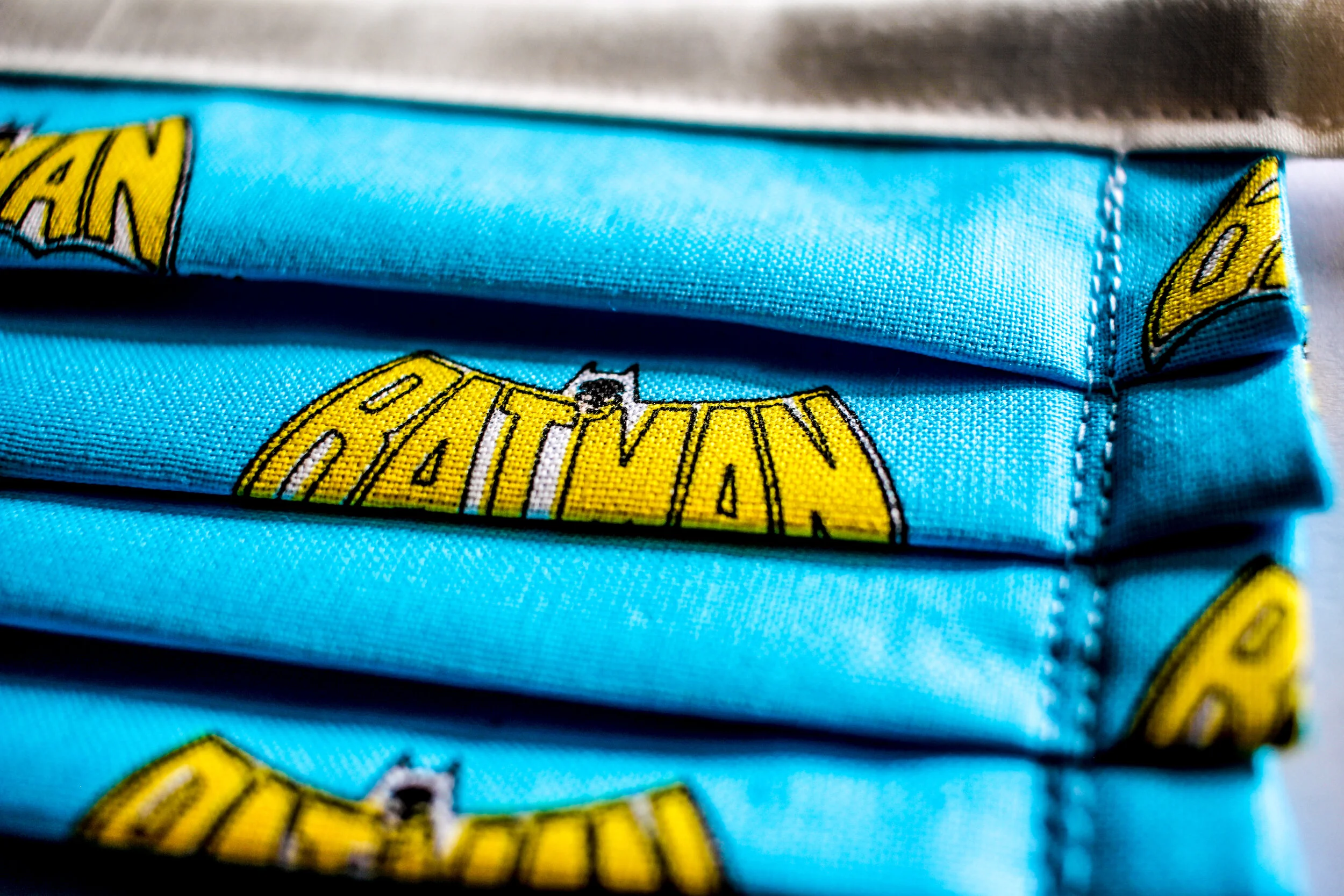 Batman Head On Display.jpg