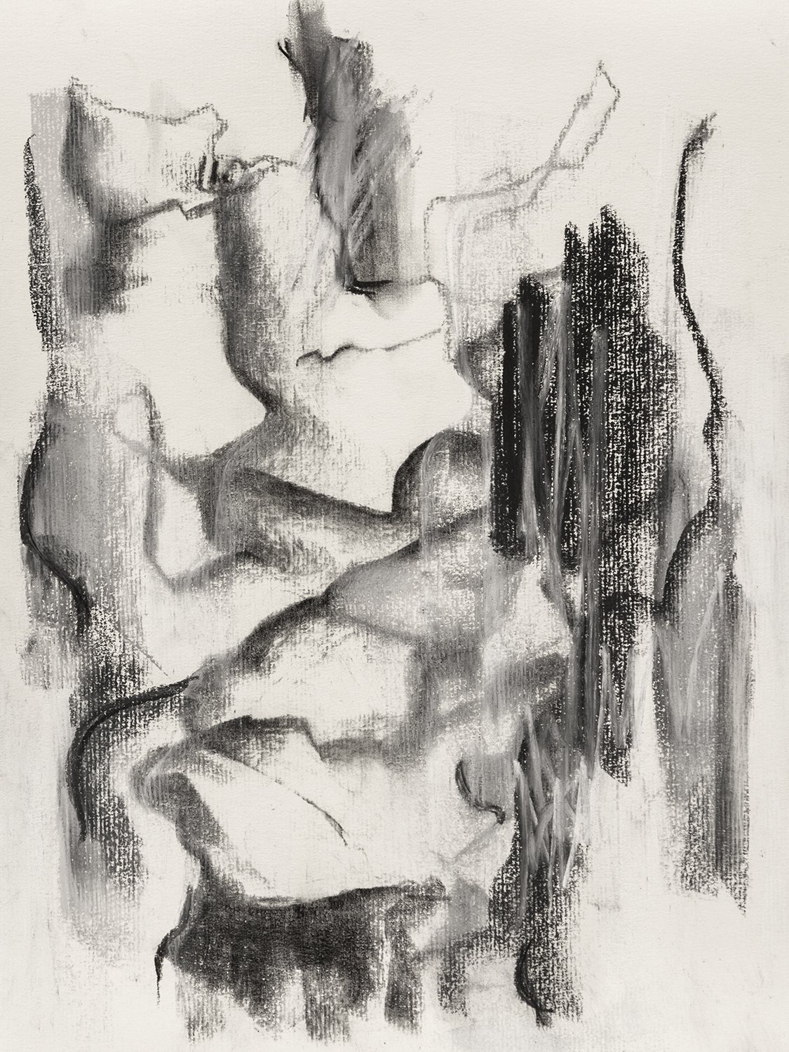 Cabeza, carboncillo comprimido sobre papel, A2 (59.4 x 42 cm)