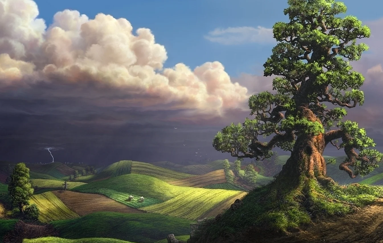The Land