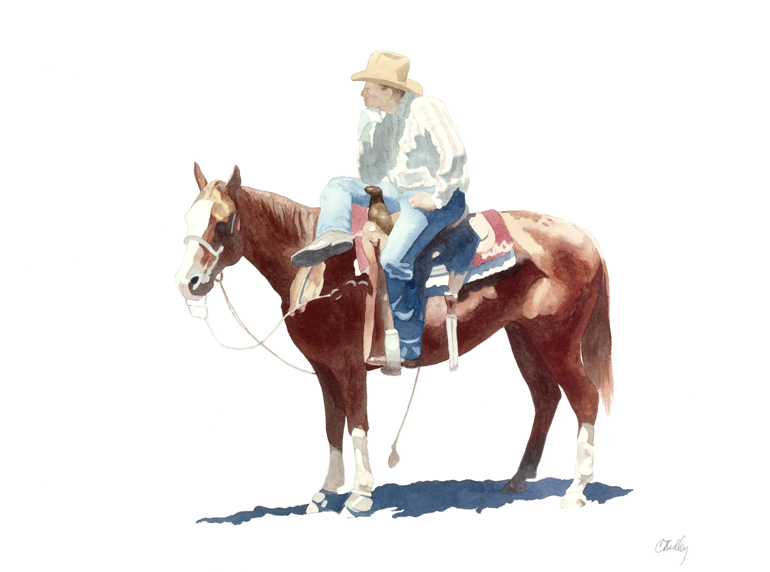 Rodeo Scenes #11