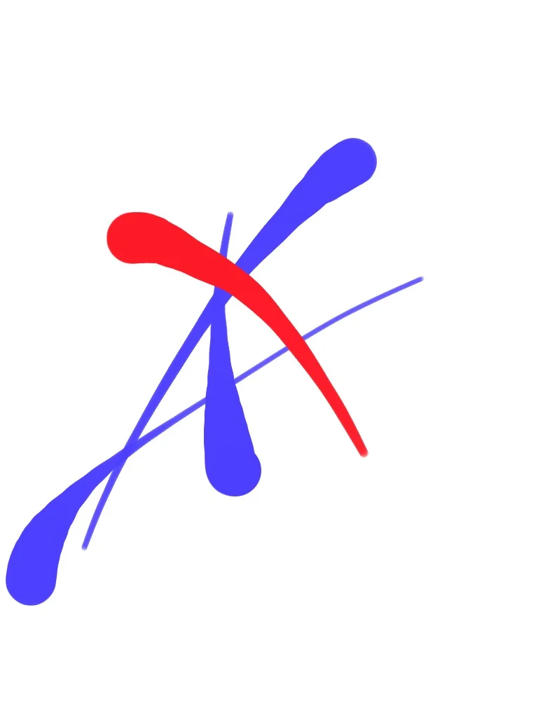 iPad Image #13