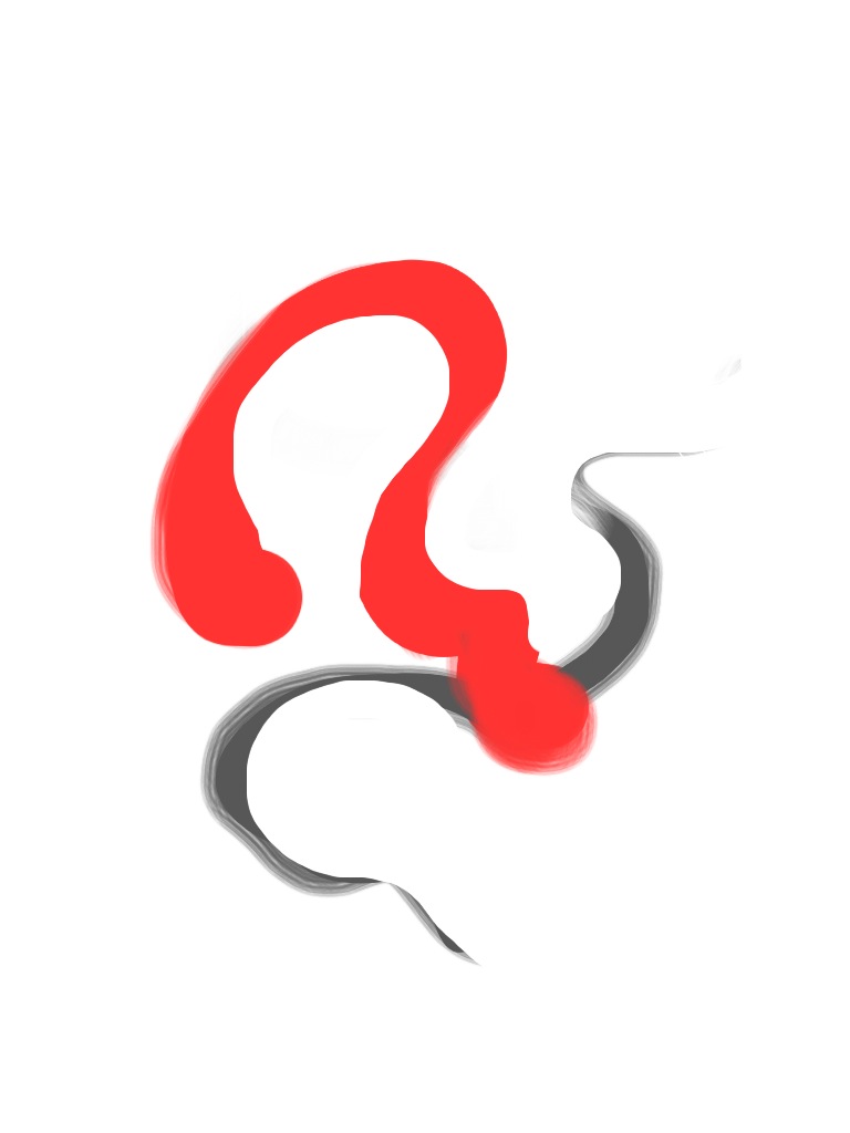 iPad Image #15