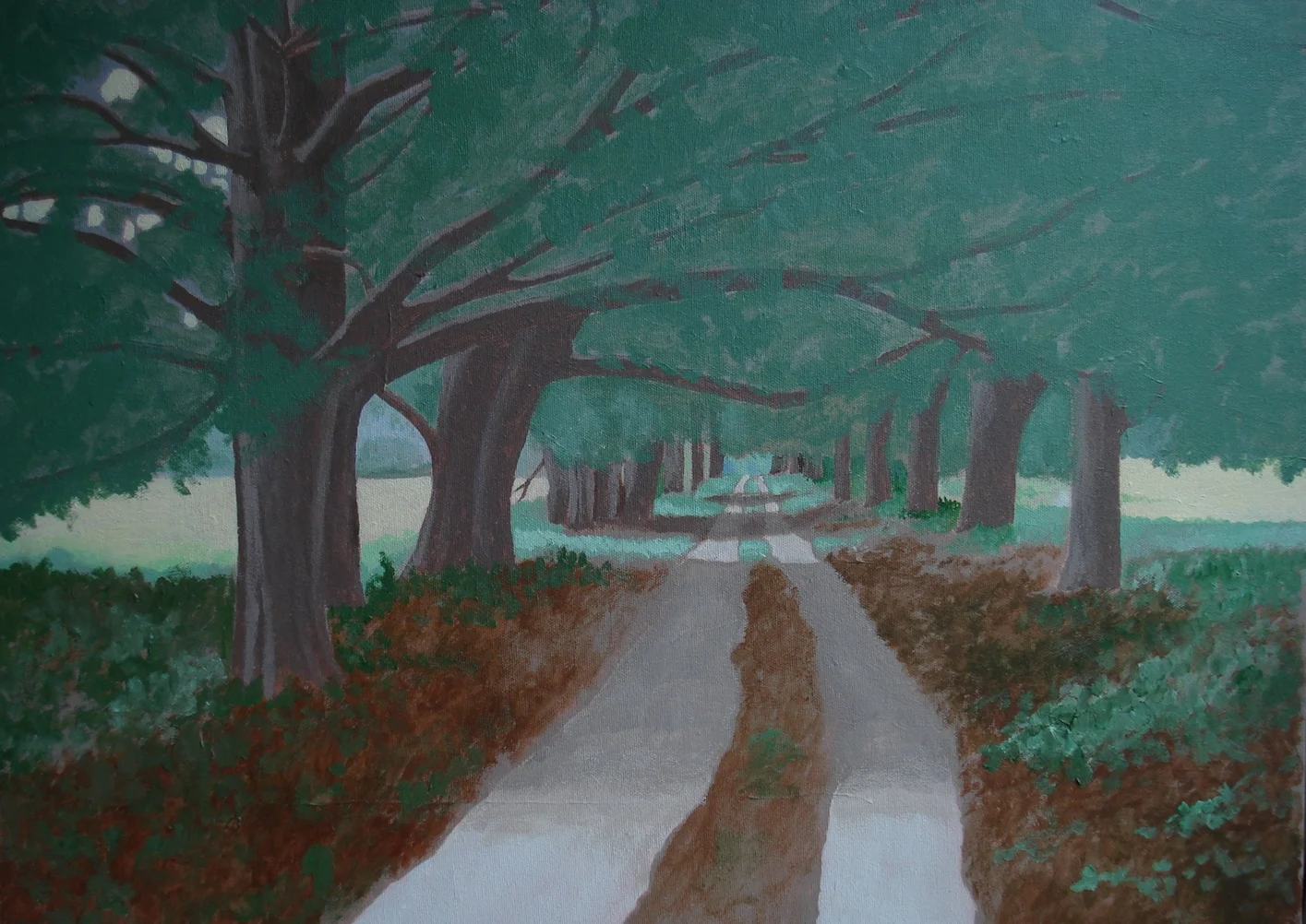Cumberland Island #9