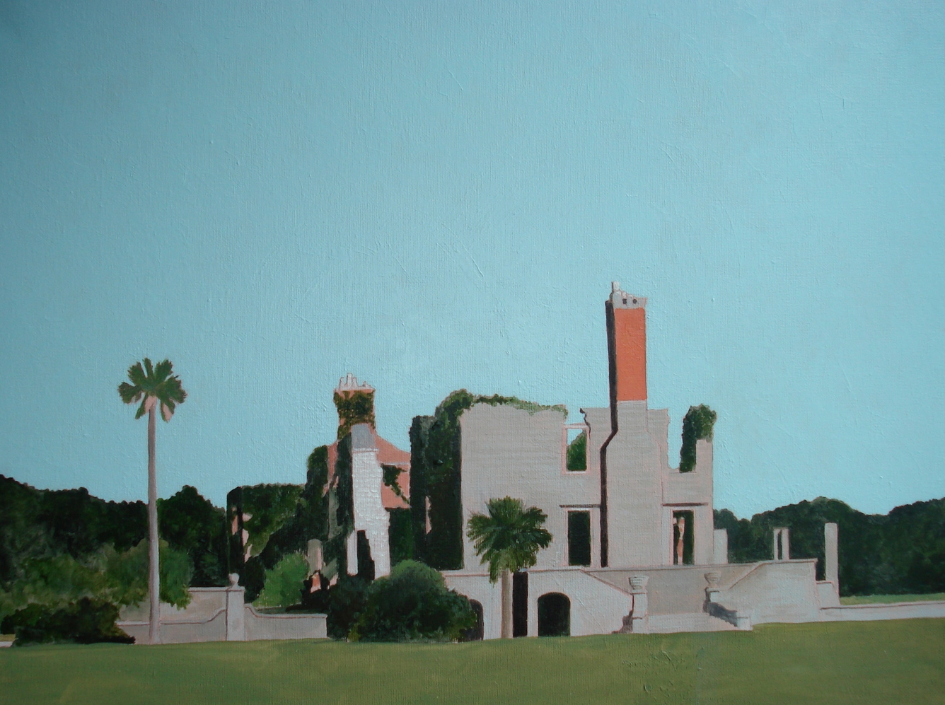 Cumberland Island #12
