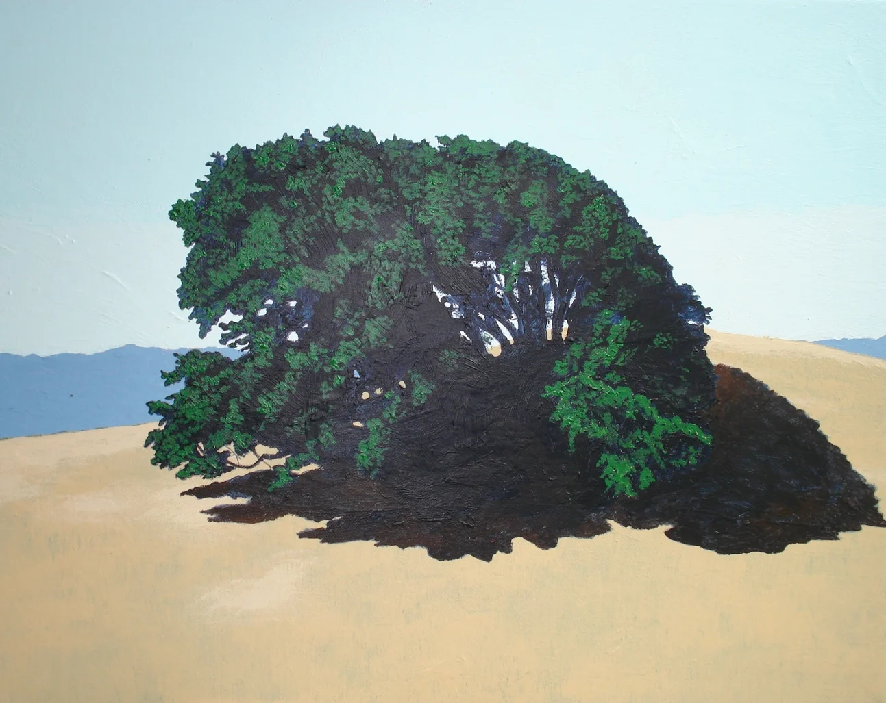 Yorkville Ranch #6