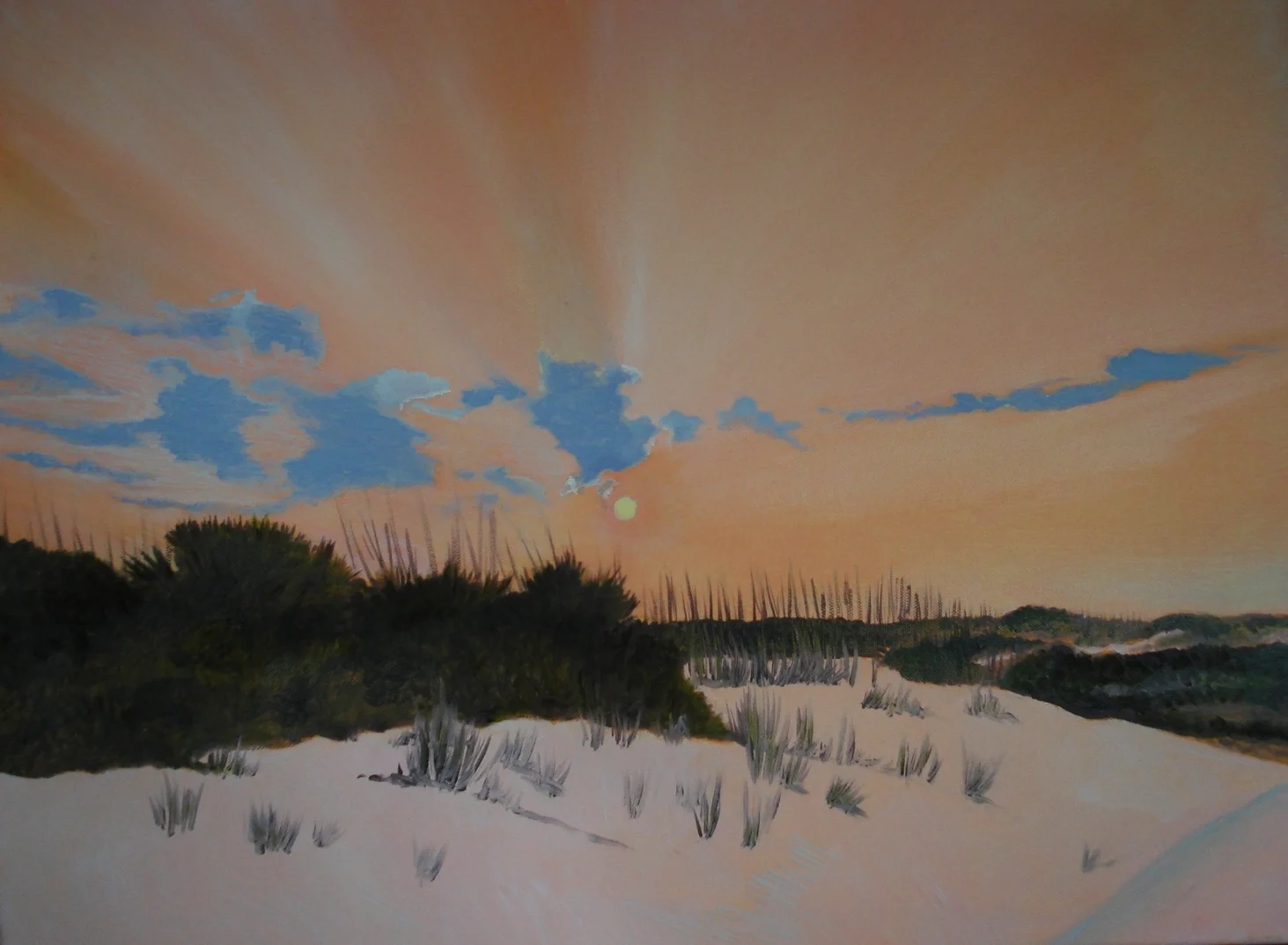 Cumberland Island #4
