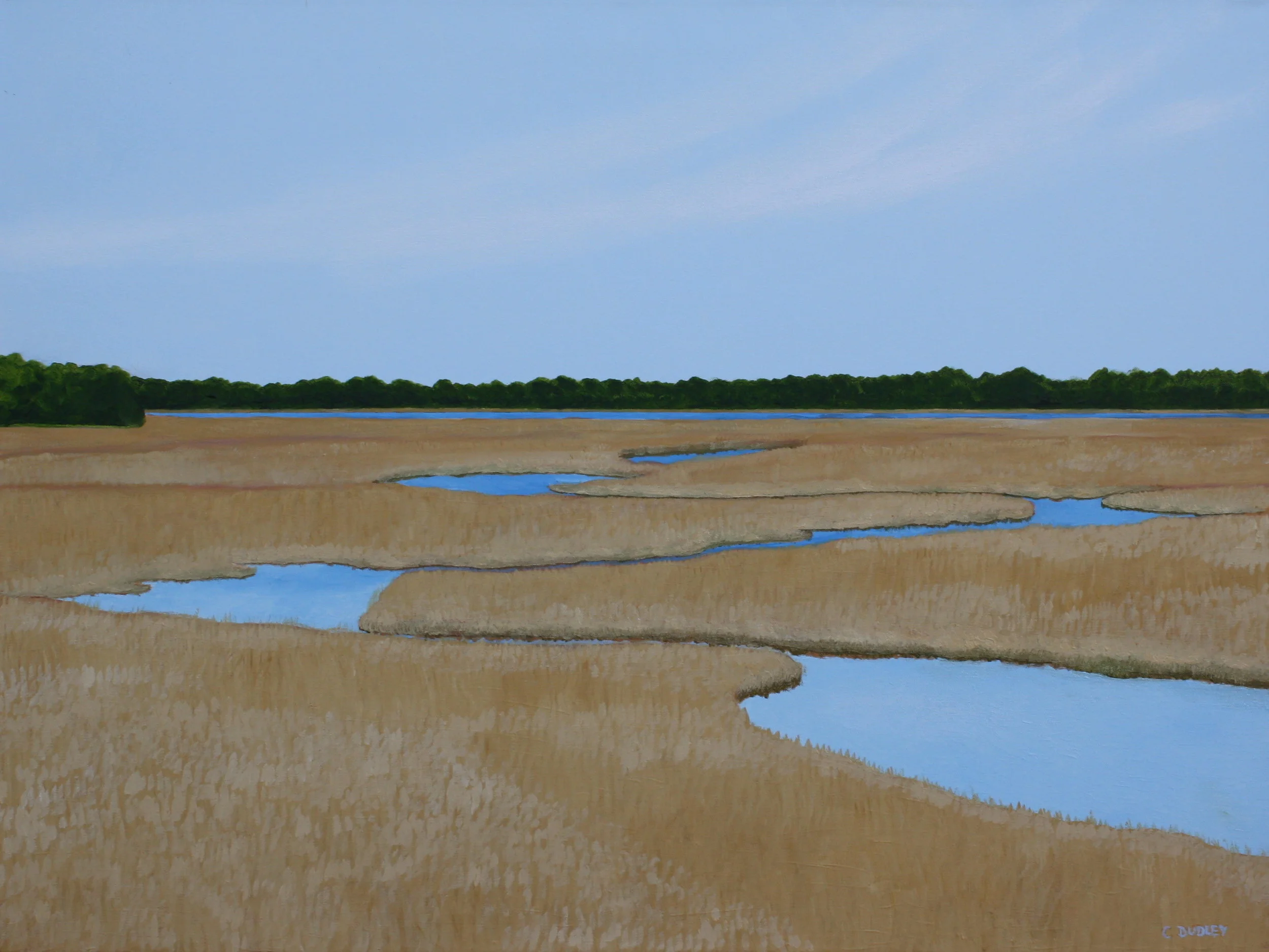 Sea Island Scenes  #20