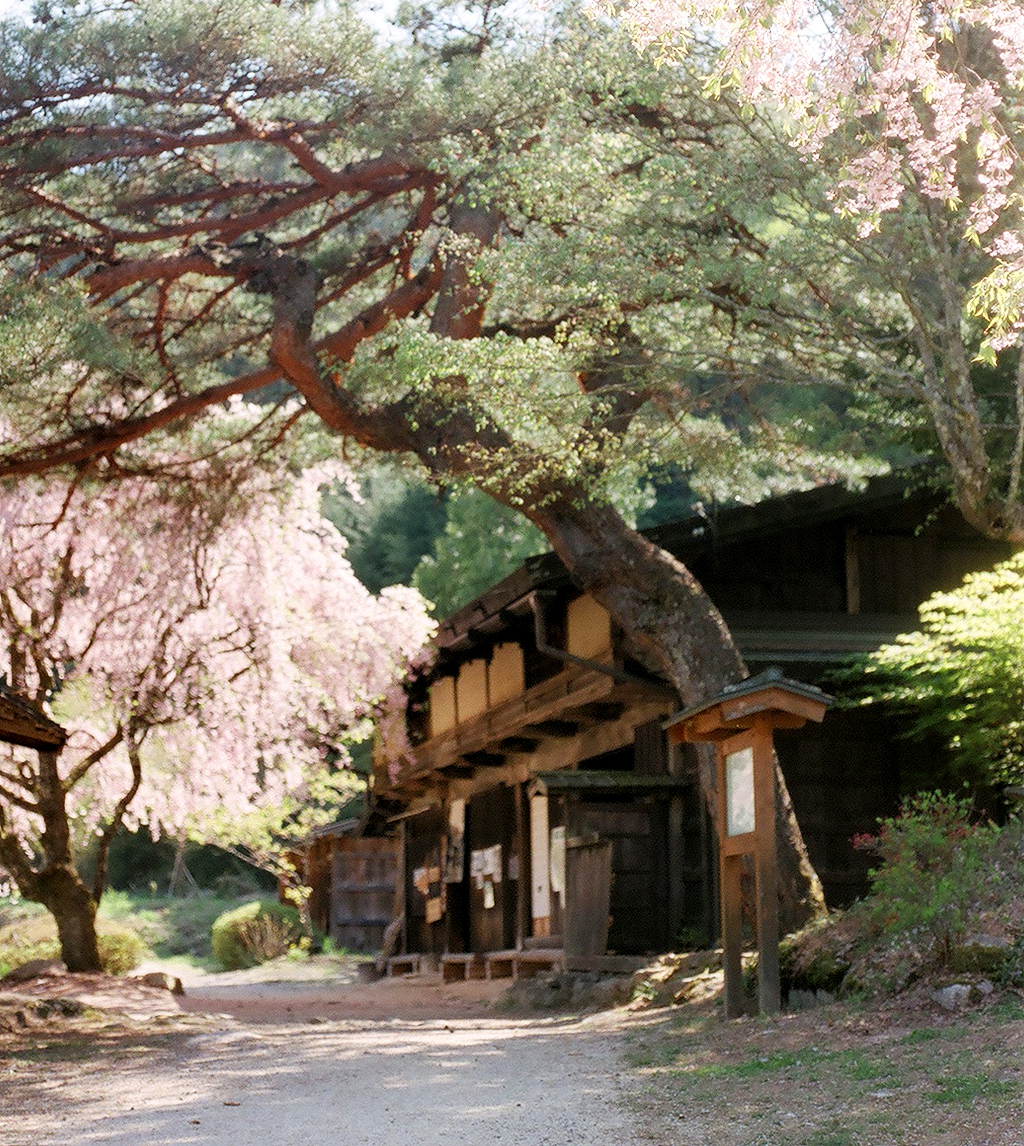 A resting house my friends and I stopped at as we were hiking. We marveled at the age of the house, the tea, fellow travelers, the pickled plumbs and plumb wine.