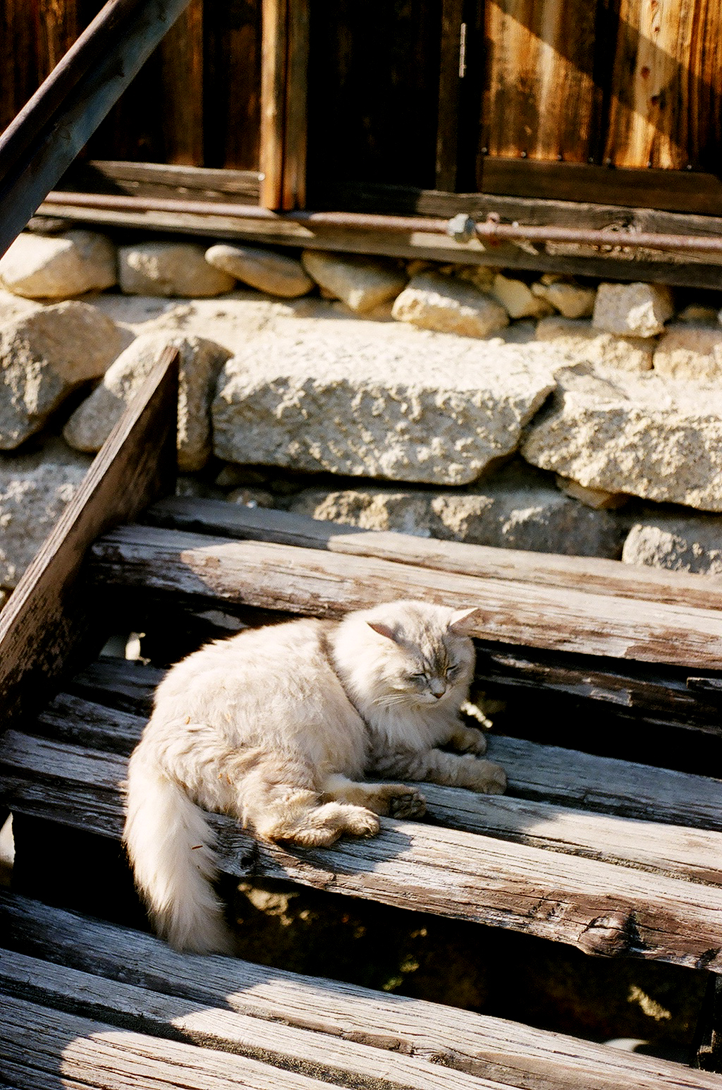 That cat belongs there. She got up and I followed her around the small town of Tsumago.