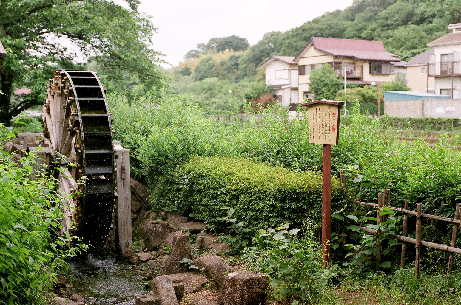 I began most of my days in Japan with a quick run around the neighborhood. I passed this enough times to finally photograph it.