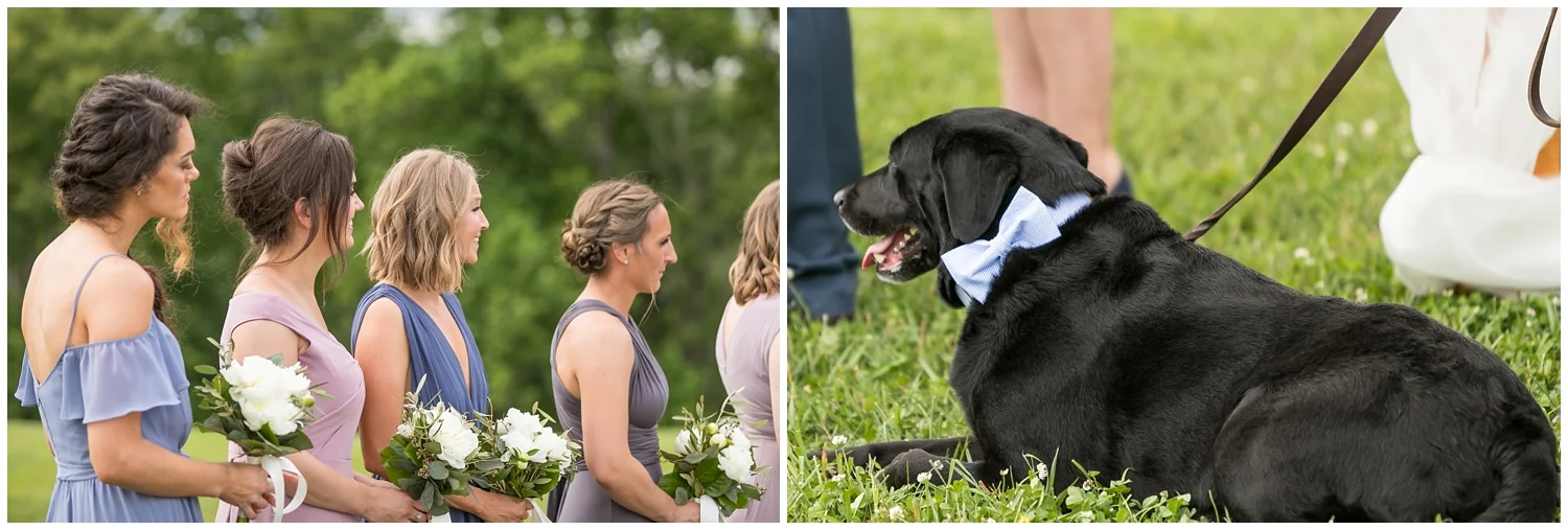 Jeter Mountain Wedding Photography