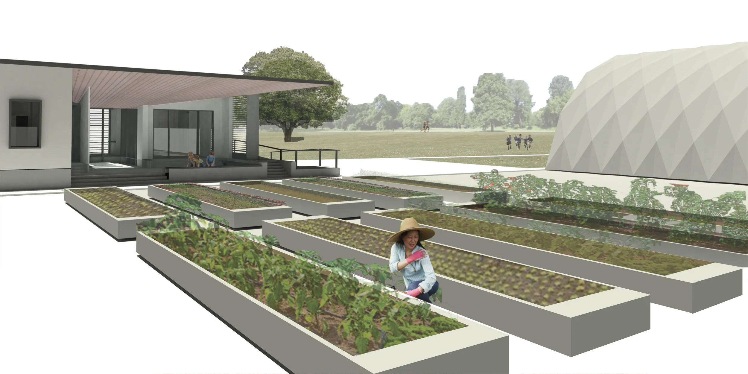 Social Agriculture