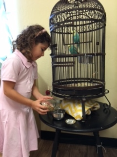 Feeding the birds