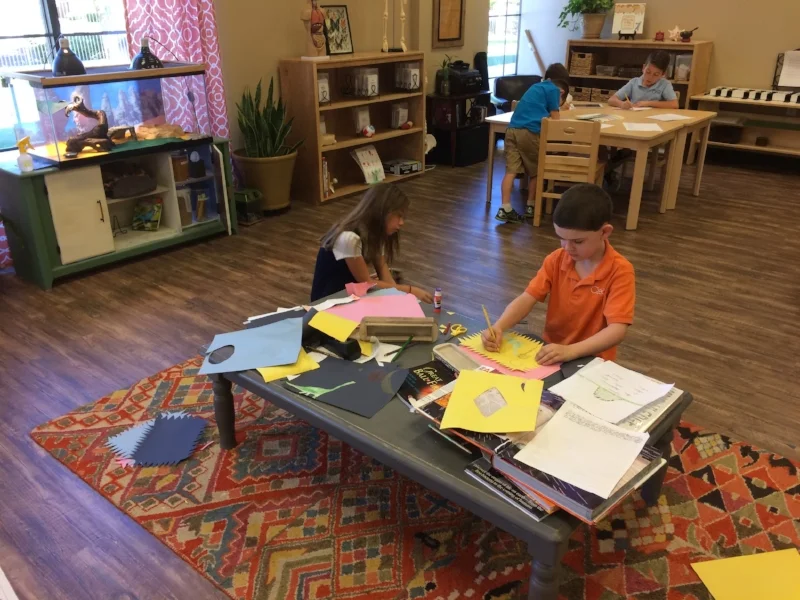 Dinosaur research
